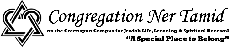 ner-tamid-mono
